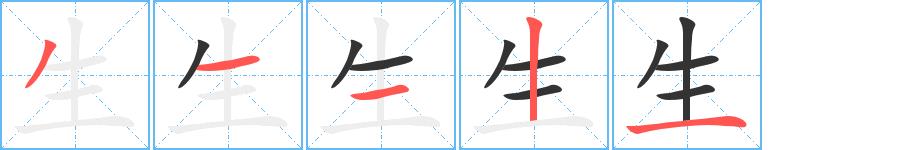 生的笔画意思解释发音部首组词是什么