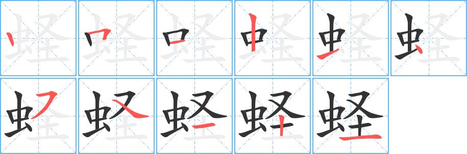 蛏的笔画意思解释发音部首组词是什么