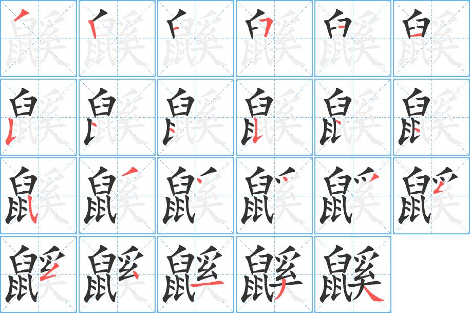 鼷的笔画意思解释发音部首组词是什么