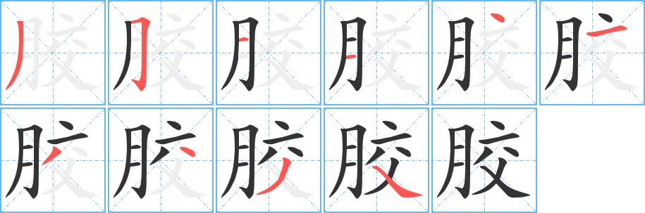 胶的笔画意思解释发音部首组词是什么